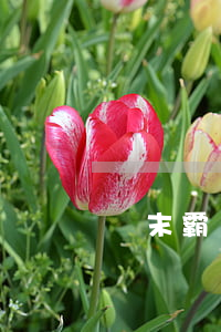漢末霸業還不起貸款(漢末霸業借貸資金逾期)