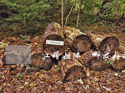 漢江婚姻律師哪家好(武漢婚姻咨詢師哪家好)