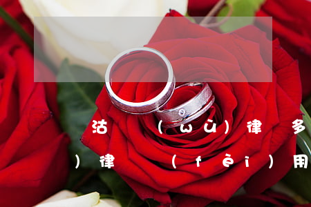 漢沽債務(wù)律師多少錢-債務(wù)律師費(fèi)用收取標(biāo)準(zhǔn)2020