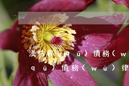 漢沽區(qū)債務(wù)律師(漢沽區(qū)債務(wù)律師電話號碼)