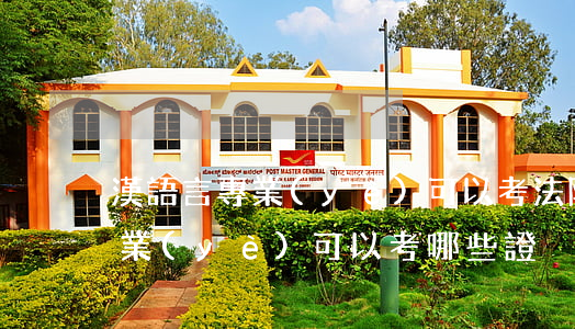漢語言專業(yè)可以考法院嗎(漢語言專業(yè)可以考哪些證)