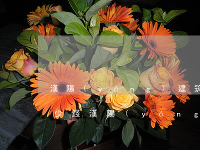 漢陽(yáng)建筑工程合同糾紛律師多少錢(漢陽(yáng)區(qū)免費(fèi)律師咨詢)