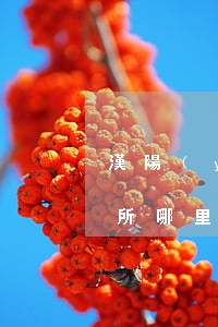 漢陽(yáng)鐘家村律師事務(wù)所哪里有(漢陽(yáng)區(qū)律師事務(wù)所地址)