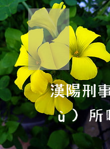 漢陽刑事律師推薦怎么找(漢陰律師事務(wù)所哪個好)