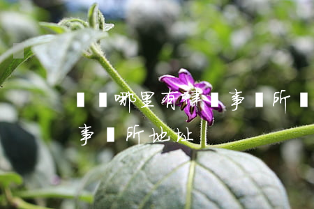 漢陽哪里有律師事務所(漢陽區(qū)律師事務所地址)