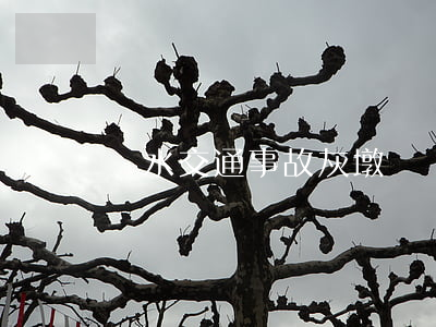 漣水交通事故灰墩
