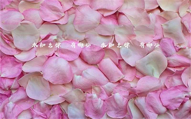 漣水知名律師有哪些(漣水知名律師有哪些)
