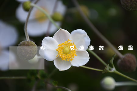 漣水義興交通事故(漣源最新交通事故)