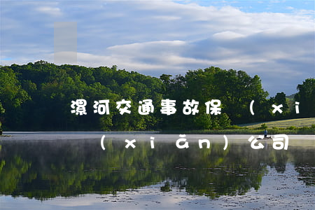 漯河交通事故保險(xiǎn)理賠(漯河保險(xiǎn)公司)