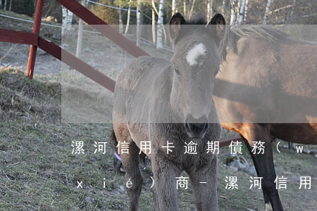 漯河信用卡逾期債務(wù)重組怎么協(xié)商-漯河信用卡逾期債務(wù)重組怎么協(xié)商還款