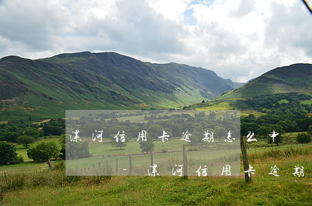 漯河信用卡逾期怎么申請(qǐng)停息掛賬-漯河信用卡逾期怎么申請(qǐng)停息掛賬的