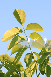 漯河市欠錢去哪起訴-漯河起訴從哪起訴