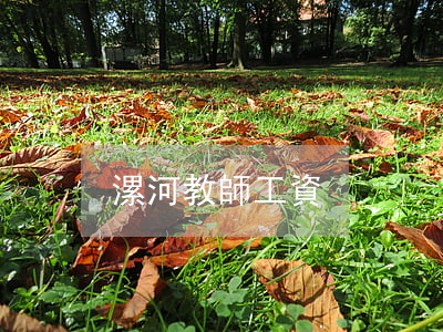 漯河教師工資