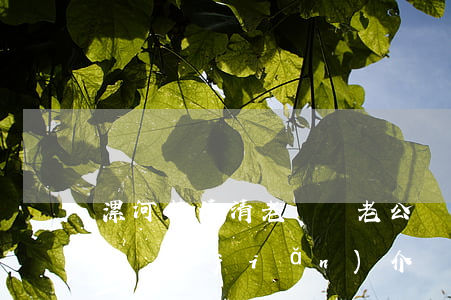 漯河楚清清老師與老公離婚了嗎(漯河清清老師簡(jiǎn)介)