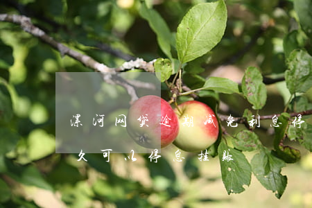 漯河网贷逾期减免利息停息挂账 网贷逾期多久可以停息挂账