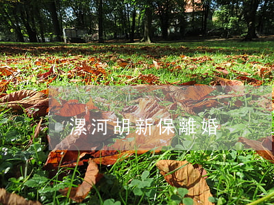 漯河 胡新保 離婚