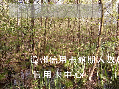 漳州信用卡逾期人數(shù)多嗎(漳州市信用卡中心)