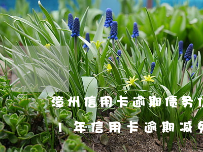 漳州信用卡逾期债务优化怎么收费-2021年信用卡逾期减免政策