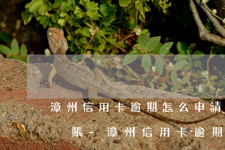 漳州信用卡逾期怎么申請(qǐng)停息掛賬-漳州信用卡逾期怎么申請(qǐng)停息掛賬的