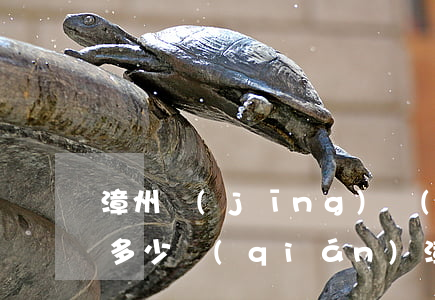 漳州經(jīng)濟(jì)糾紛律師要多少錢(qián)(漳州市律師事務(wù)所)