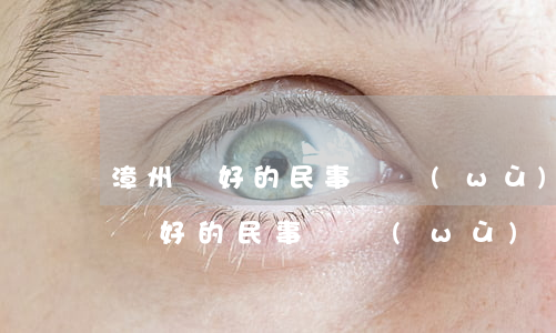 漳州較好的民事債務(wù)糾紛律師(漳州較好的民事債務(wù)糾紛律師事務(wù)所)