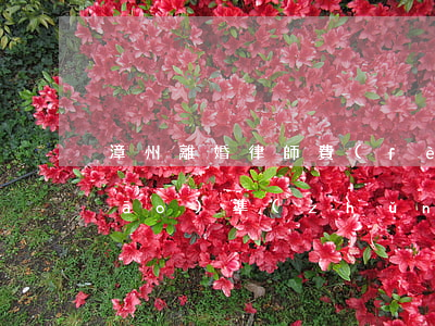 漳州離婚律師費(fèi)用收取標(biāo)準(zhǔn)(廣州離婚律師費(fèi)用收取標(biāo)準(zhǔn))