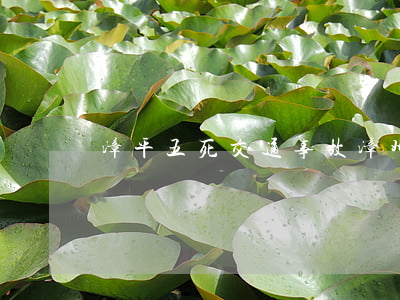 漳平五死交通事故(漳州交通事故新聞頭條)