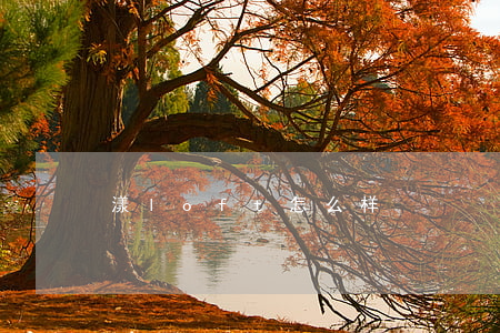 漾loft怎么样