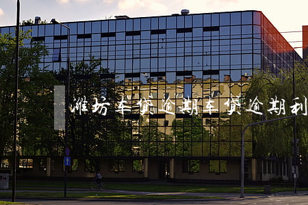 潍坊车贷逾期 车贷逾期利息