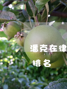 潘克在律師中排名(杜克律師事務(wù)所排名)