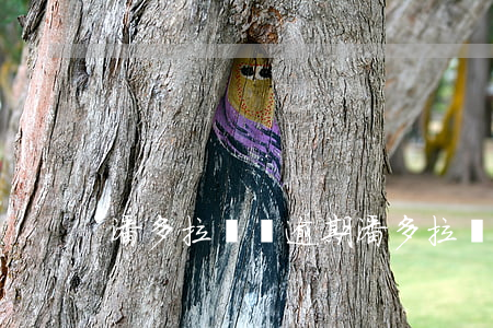 潘多拉錢貸逾期(潘多拉錢貸逾期會怎么樣)