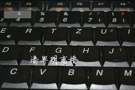潘粤明离婚