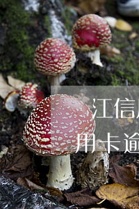 潛江信用卡逾期停息分期申請條件-潛江信用卡逾期停息分期申請條件是什么