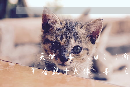 潤天律師事務(wù)所在合肥排名(2019合肥十大律師事務(wù)所排名)