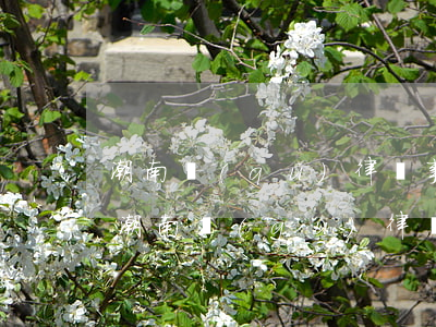 潮南區(qū)律師事務(wù)所哪家好(潮南區(qū)律師事務(wù)所法律咨詢)