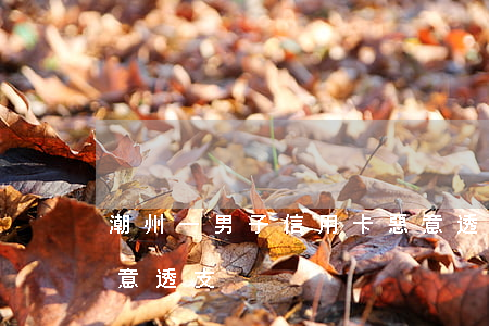 潮州一男子信用卡惡意透支(用他人信用卡惡意透支)