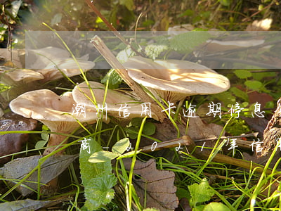 潮州信用卡逾期停息分期怎么協(xié)商-2021年信用卡逾期怎么協(xié)商分期