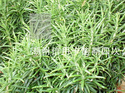 潮州信用卡逾期四次公積金