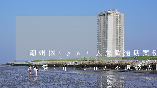 潮州個(gè)人欠款逾期案例(潮汕這些人欠錢(qián)不還被法院曝光)