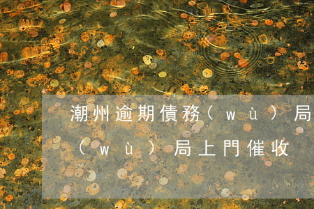 潮州逾期債務(wù)局上門(潮州逾期債務(wù)局上門催收)