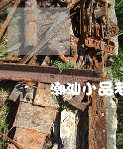潮汕小品老肖離婚(潮汕小品李老三生鬼仔)