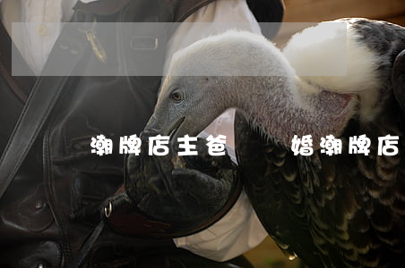 潮牌店主爸媽離婚(潮牌店主爸媽離婚)