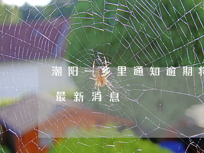 潮阳一乡里通知逾期将强制拆除-潮阳拆违最新消息