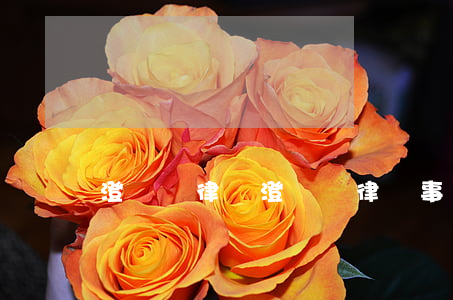 澄邁縣律師(澄邁縣律師事務(wù)所)