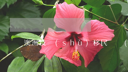 澳洲技術(shù)移民職業(yè)清單