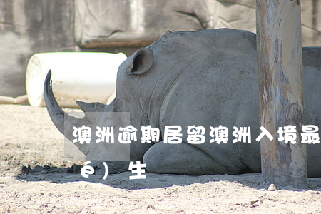 澳洲逾期居留(澳洲入境最新消息留學(xué)生)
