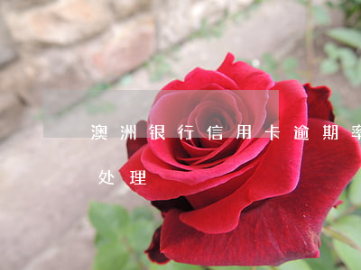 澳洲银行信用卡逾期率-最新的信用卡逾期处理