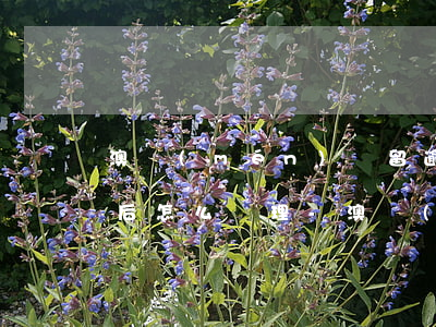 澳門(mén)滯留逾期一個(gè)月以后怎么處理-澳門(mén)滯留逾期一個(gè)月以后怎么處理的
