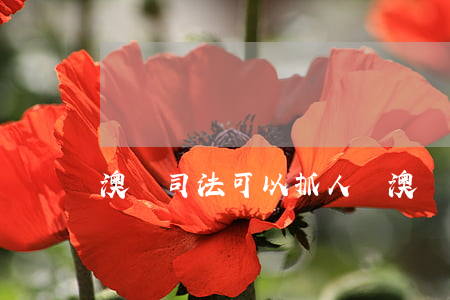 澳門司法可以抓人嗎(澳門判刑會來大陸抓人嗎)