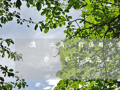 澳門工商銀行信用卡逾期(工商信用卡逾期卡異常還不了款怎么辦)